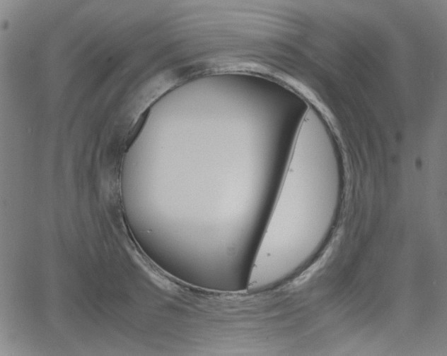 X0000062800897200512221103