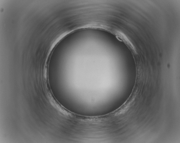 X0000062800900200512221103