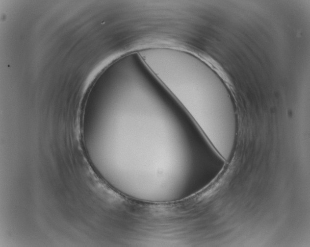 X0000062800904200512221103