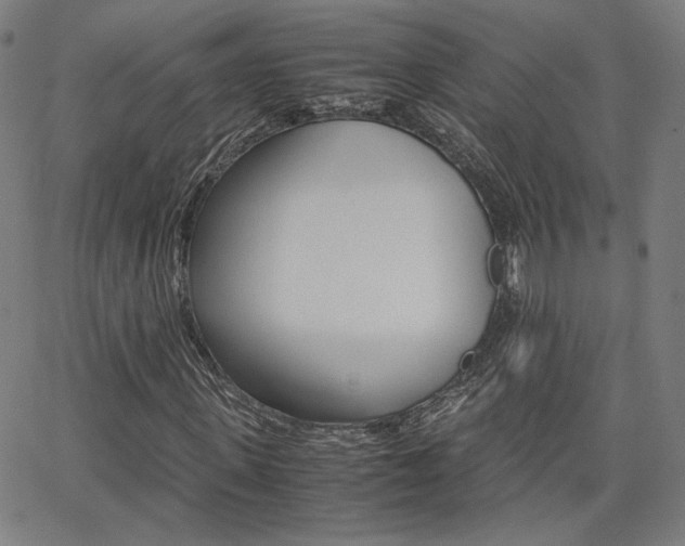 X0000062800915200512221102