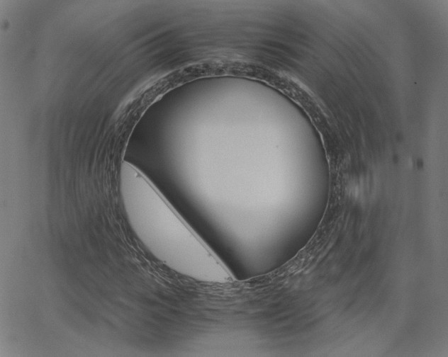 X0000062800919200512221102