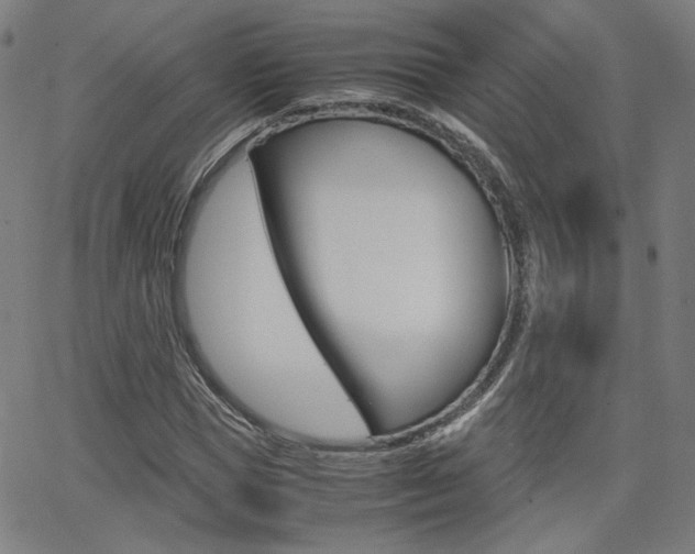 X0000062800921200512221102