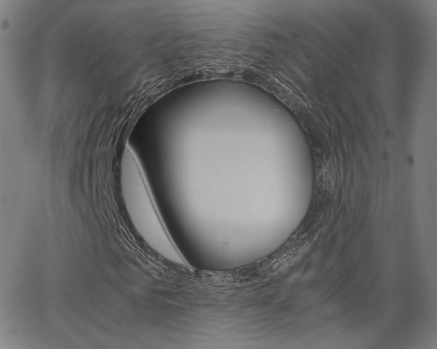 X0000062800961200512221102