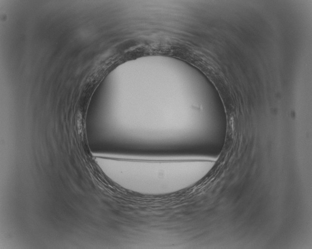 X0000062800963200512221102