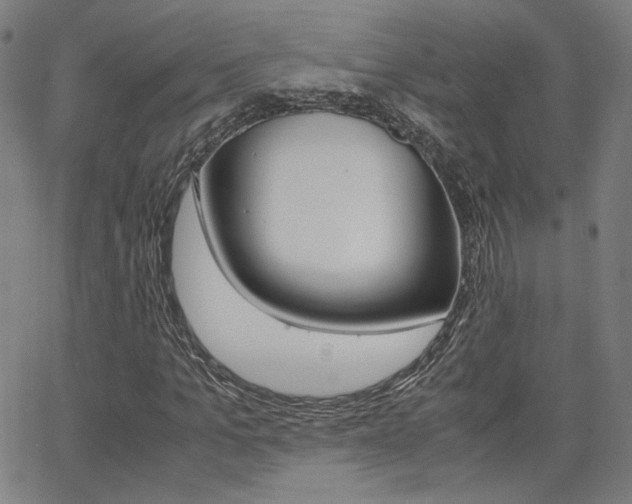 X0000062800965200512221102