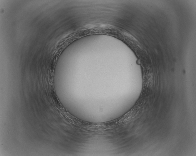 X0000062800966200512221102