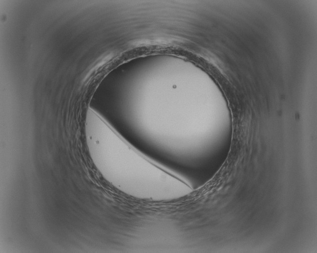 X0000062800967200512221102