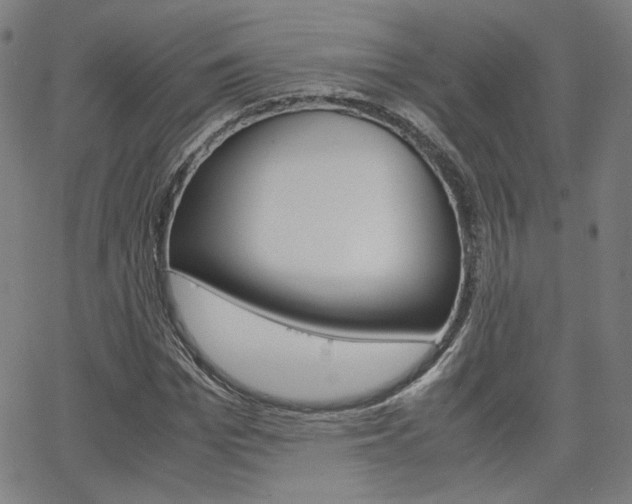 X0000062800969200512221102