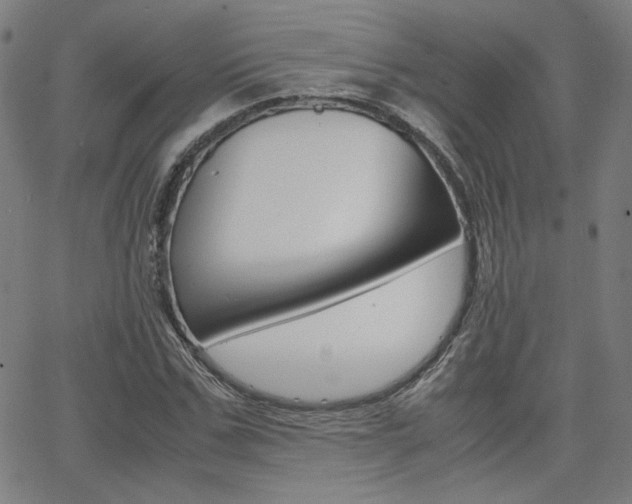 X0000062800971200512221102