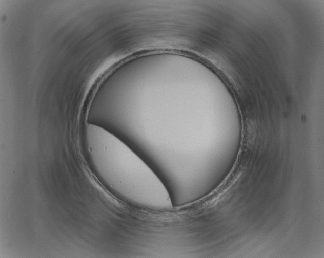 X0000062800982200512221102
