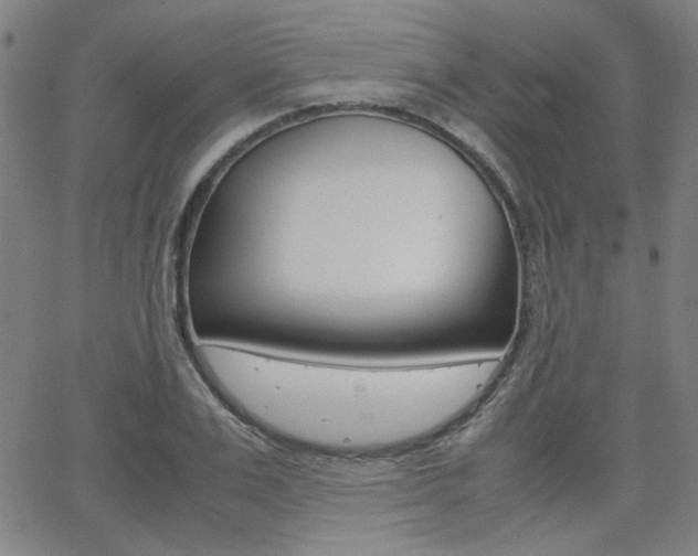X0000062800983200512221102