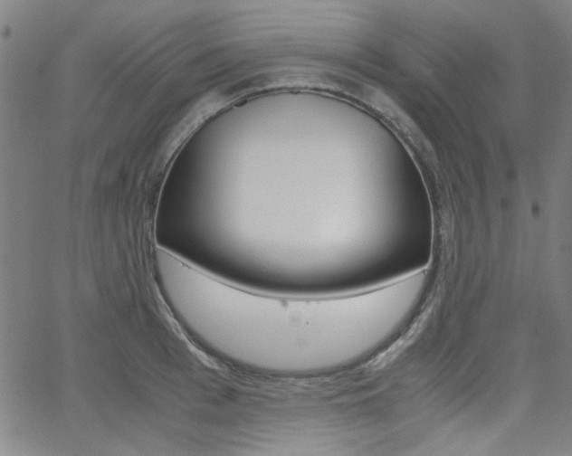 X0000062800993200512221101