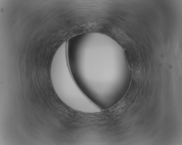 X0000062801010200512221100