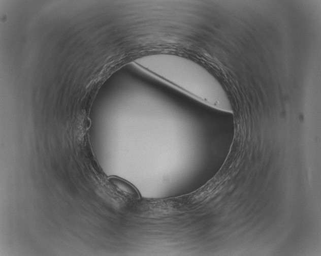 X0000062801012200512221100