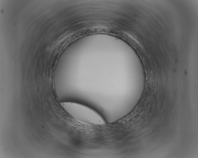 X0000062801015200512221100