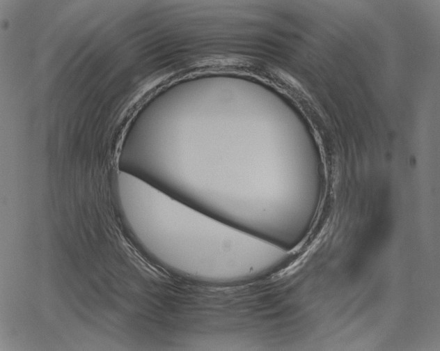 X0000062801017200512221100