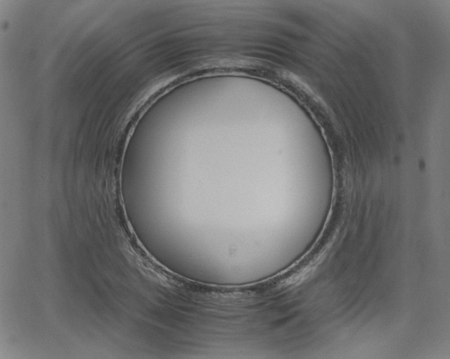 X0000062801025200512221101