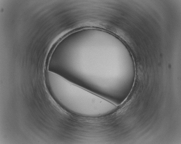 X0000062801028200512221101