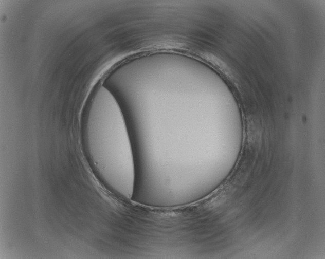X0000062801031200512221101