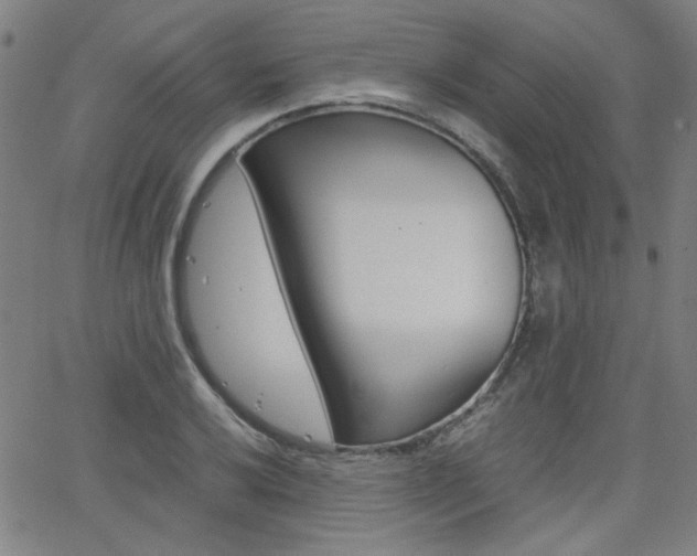 X0000062801032200512221101