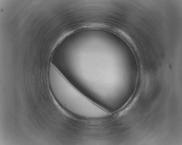 X0000062801041200512221101