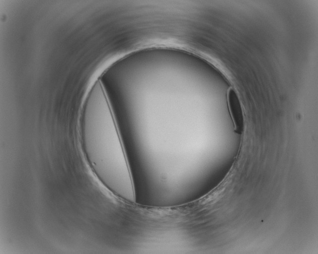X0000062801056200512221101