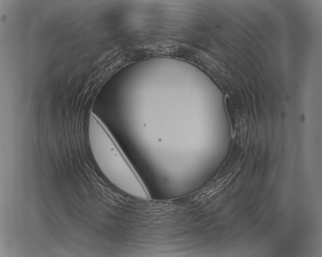 X0000062801058200512221100