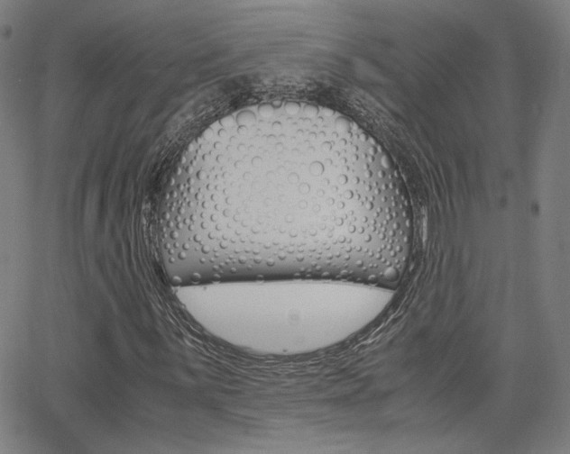 X0000062801059200512221100