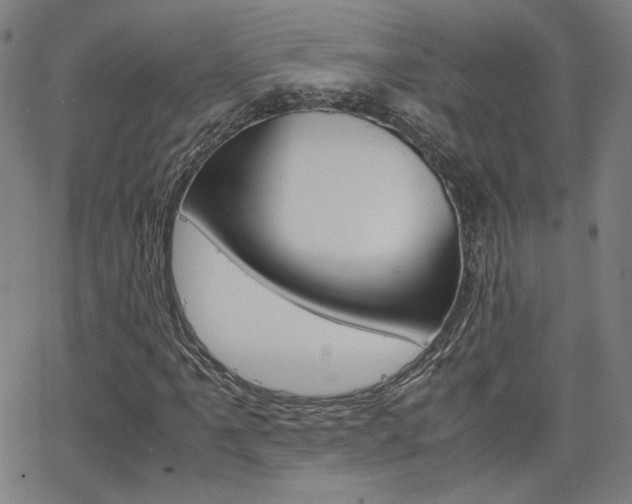X0000062801061200512221100