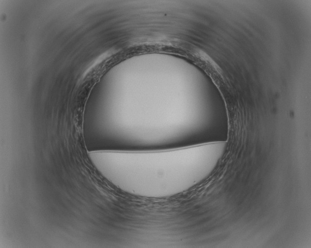 X0000062801064200512221100