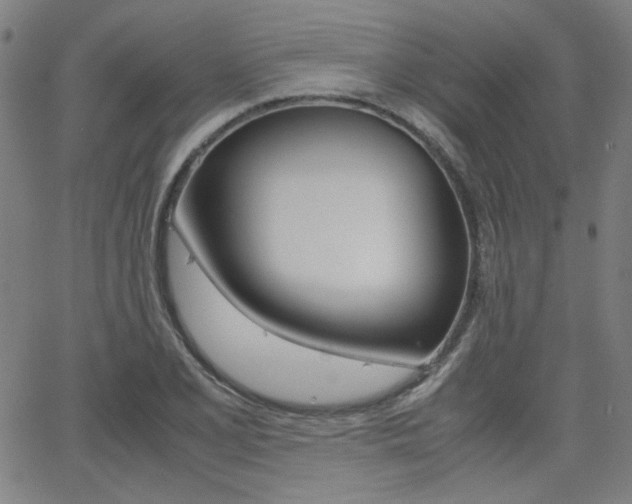 X0000062801077200512221100