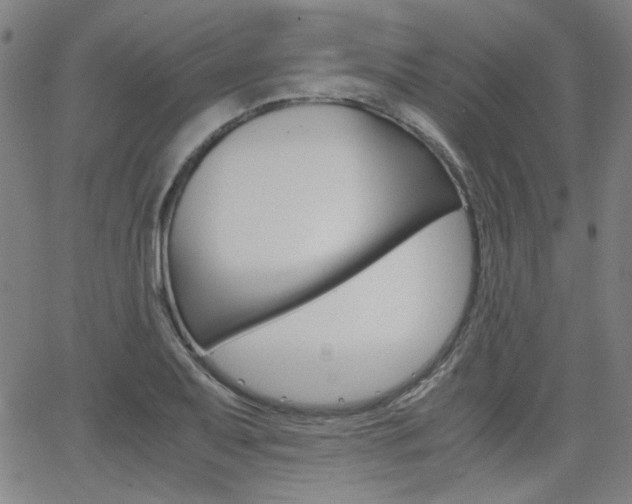 X0000062801079200512221100