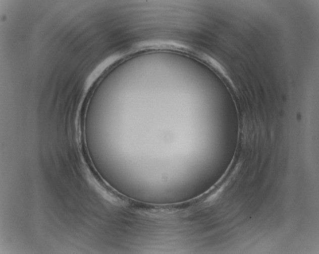 X0000062801082200512221100