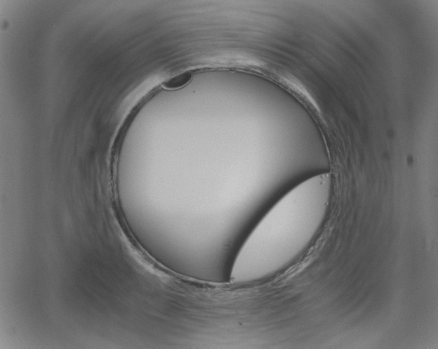 X0000062801087200512221100