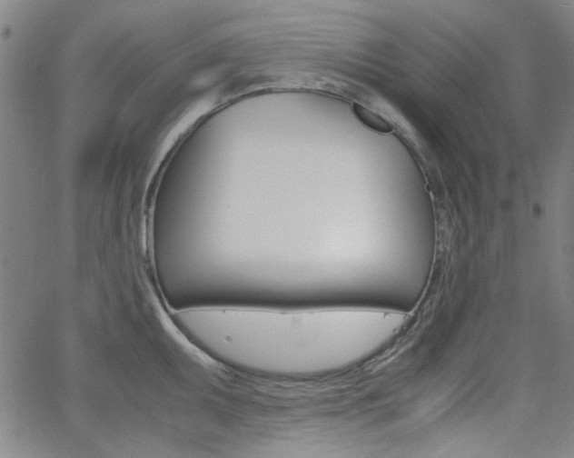 X0000062801095200512221100