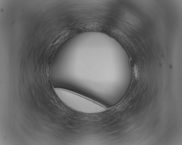 X0000062801107200512221059