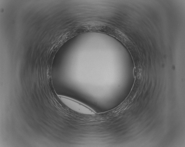 X0000062801108200512221059