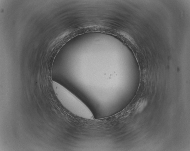 X0000062801111200512221059