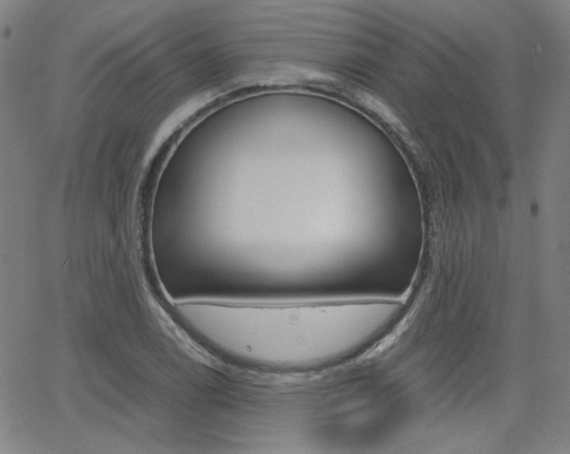 X0000062801122200512221059