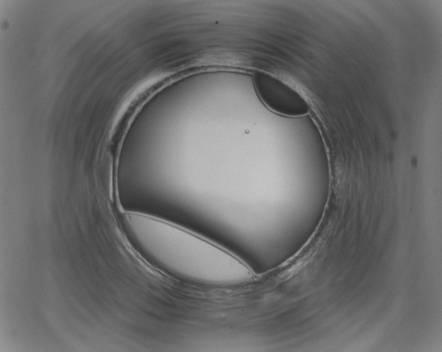 X0000062801123200512221059