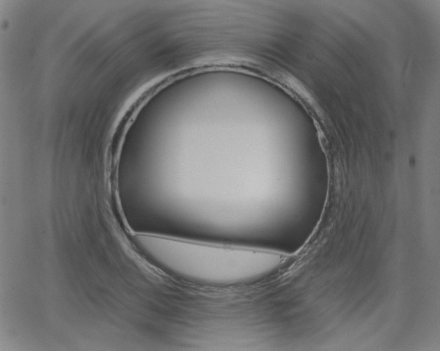 X0000062801124200512221059