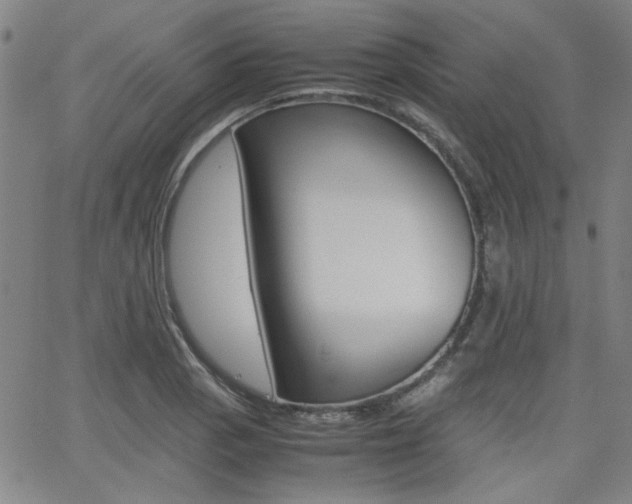 X0000062801129200512221059