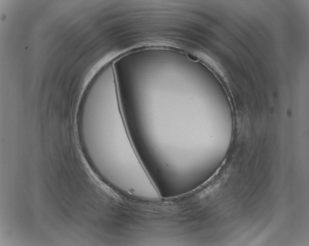 X0000062801133200512221059