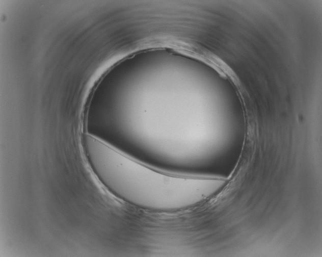 X0000062801144200512221059