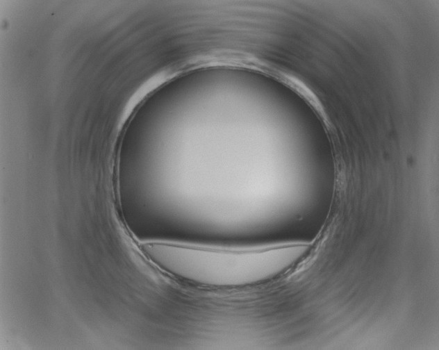 X0000062801146200512221059
