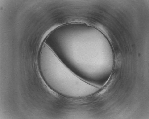 X0000062801149200512221059