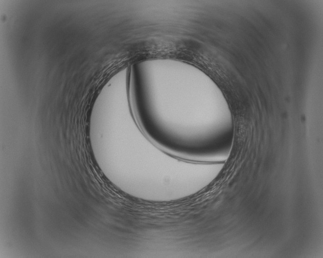 X0000062801153200512221059