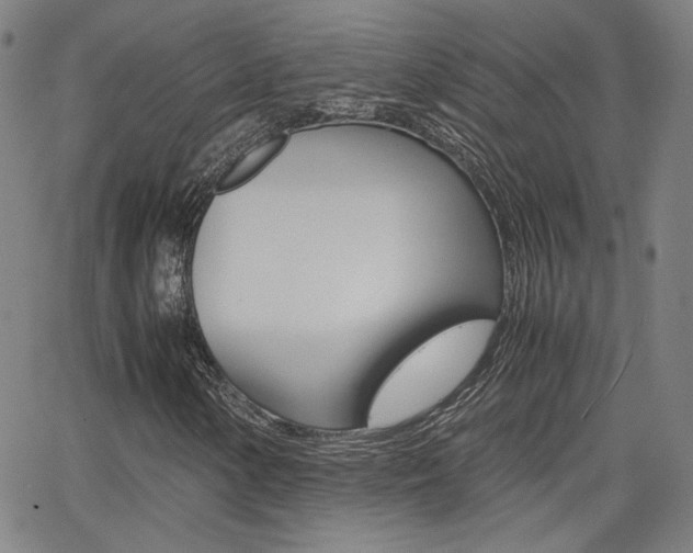 X0000062801154200512221059