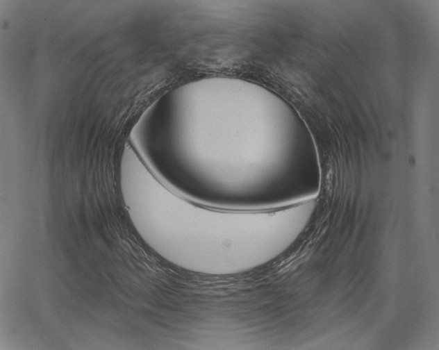 X0000062801156200512221059