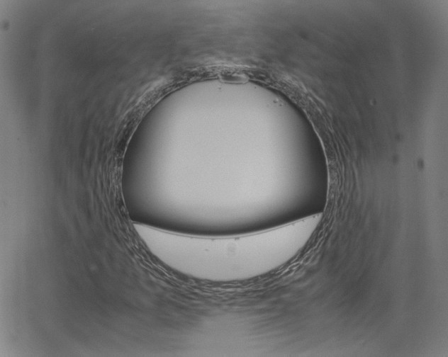 X0000062801157200512221059